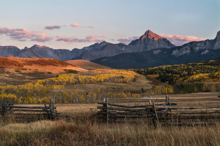 Autumn Aspen Color